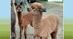 Desktop Screenshot of deermountainalpacas.com